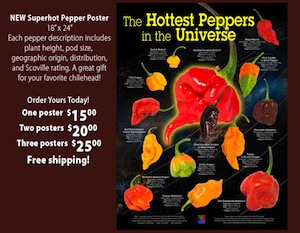 hottest pepper