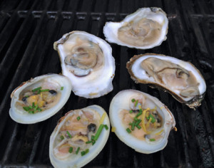 oyster_clams