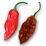 chile peppers