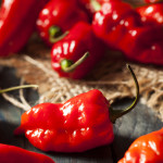 Spicy Hot Bhut Jolokia Ghost Peppers