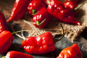 Spicy Hot Bhut Jolokia Ghost Peppers