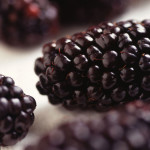 Blackberry bbq sauce
