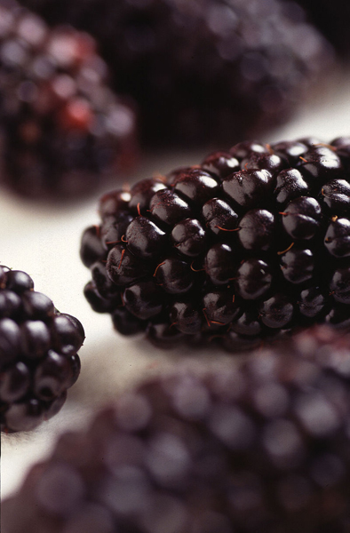 Recipe: Blackberry Barbecue Sauce - Burn Blog