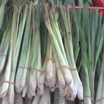 lemongrass