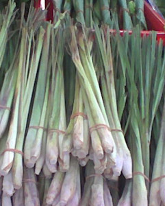 lemongrass