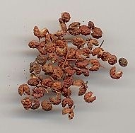 sichuan_pepper_small