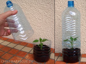 bottle_greenhouse-300x225