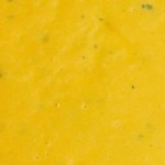 mango pineapple soup recipe