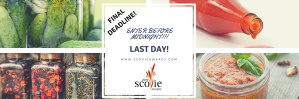 2019 scovie awards