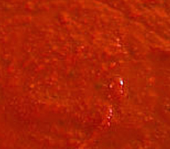 red chile sauce recipe