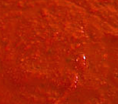 New Mexico Red Chile Sauce - Burn Blog