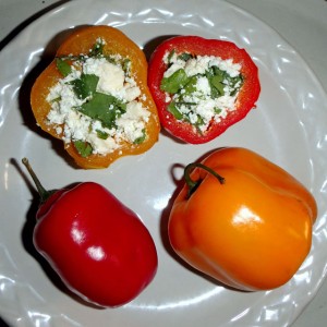 manzanos chile relleno