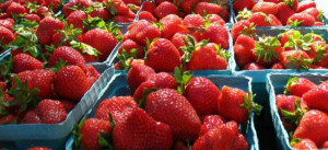 Strawberries with Tex-Mex Tequila and Black Pepper - Burn Blog