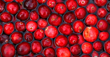 Red Nose Punch
