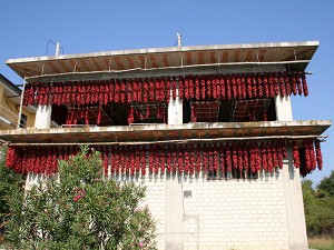 Peperoni di Senise in a drying house