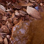 Chimayo Chile and Chocolate Mousse - Burn Blog