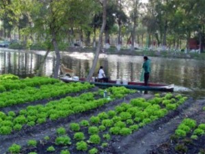 chinampas canoe