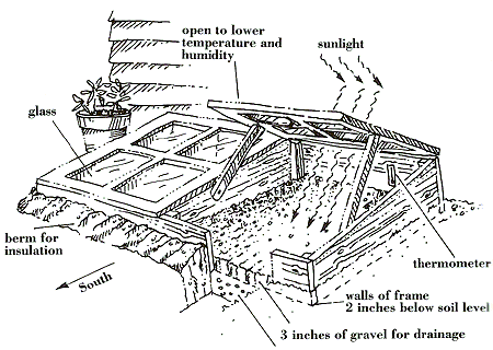 cold frame diagram