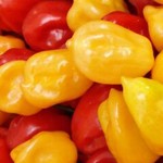 habanero sauce recipe