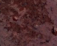 Strawberry or Blueberry BBQ Sauce - Burn Blog