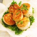 grilled scallops