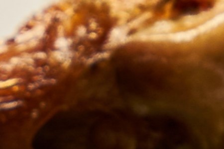 All-Purpose Poultry Rub - Burn Blog