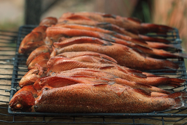 Hot smoked fish trout