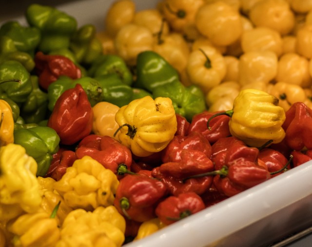 habaneros for seafood chiles rellenos recipe